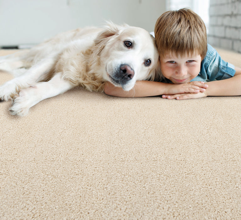 Wessex I Polyester Champagne 11741 Carpet Textured 2