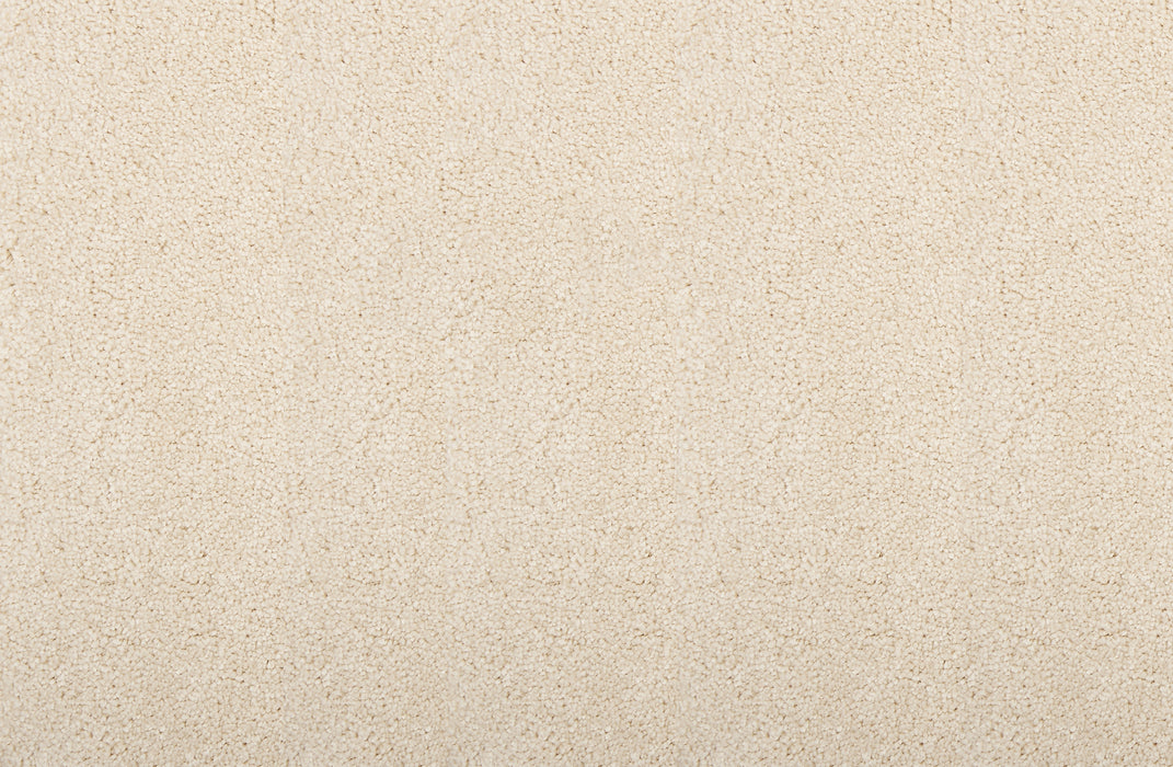 Wessex I Polyester Champagne 11741 Carpet Textured 1