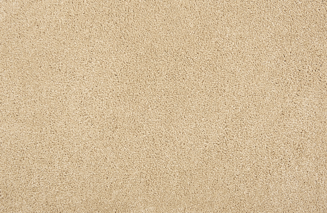 Wessex I Polyester Dune 11743 Carpet Textured 1