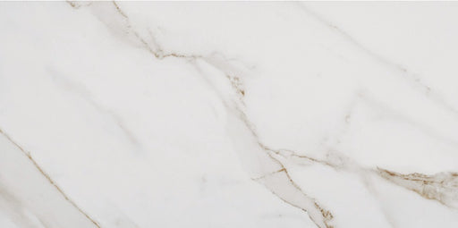 Biacanto Porcelain White BC60 Tile Matte 1