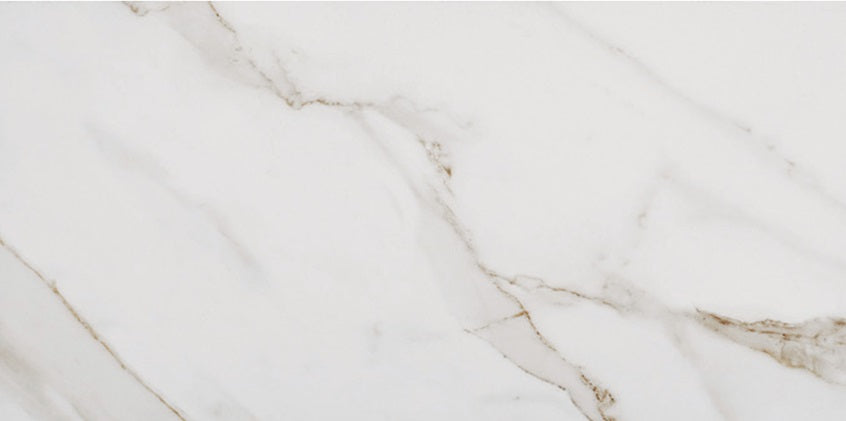 Biacanto Porcelain White BC60 Tile Matte 1