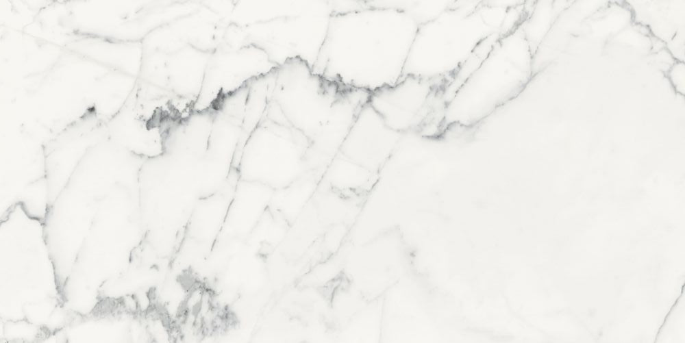 White Carrara Matte Porcelain Tile - 24" x 48"