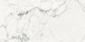 White Carrara Matte Porcelain Tile - 24" x 48"