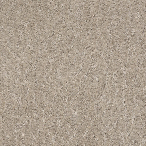 Windscape Polypropylene Delicacy Carpet Pattern 1