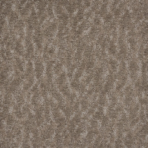 Windscape Polypropylene Filaments Carpet Pattern 1
