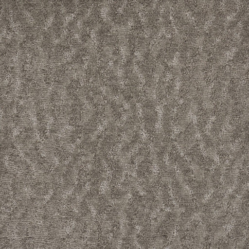 Windscape Polypropylene Decor Carpet Pattern 1