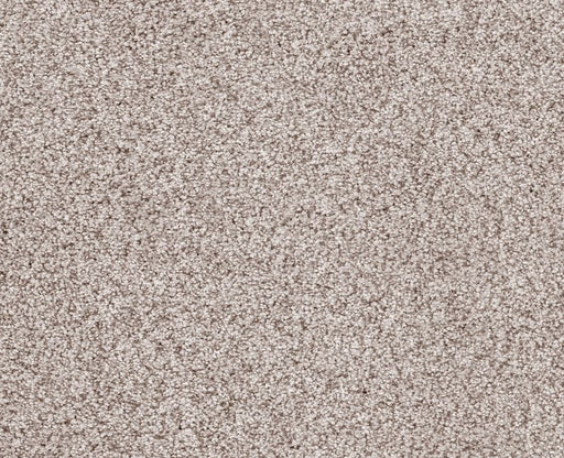 Sumptuous I Breton Nylon Carpet - Textured