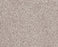 Sumptuous I Breton Nylon Carpet - Textured