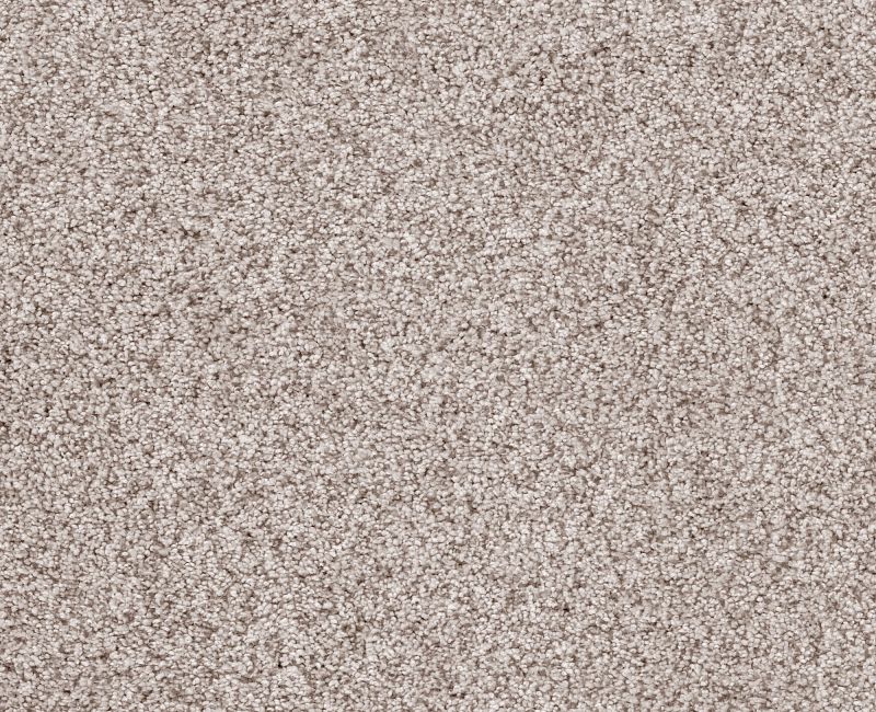 Sumptuous I Breton Nylon Carpet - Textured