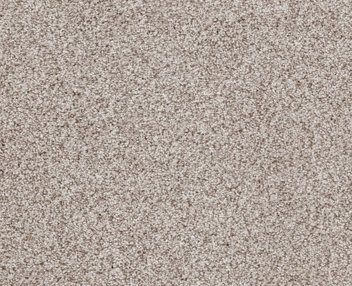 Sumptuous I Valley Nylon Carpet - Textured