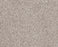 Sumptuous I Valley Nylon Carpet - Textured