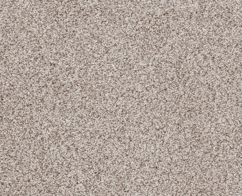 Sumptuous I Valley Nylon Carpet - Textured