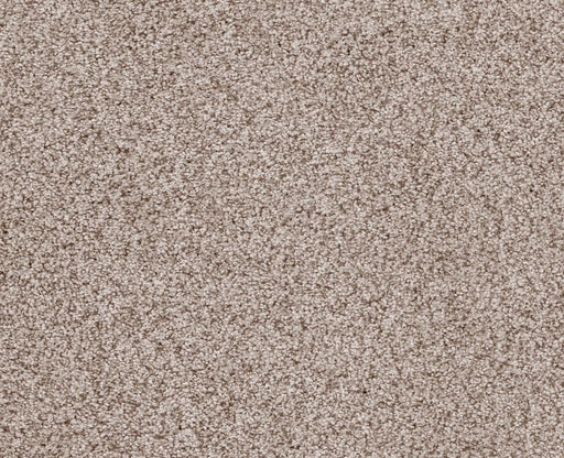 Sumptuous I Cricket Club Nylon Carpet - Textured