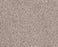 Sumptuous I Cricket Club Nylon Carpet - Textured