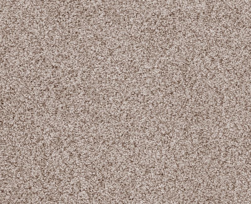 Sumptuous I Cricket Club Nylon Carpet - Textured