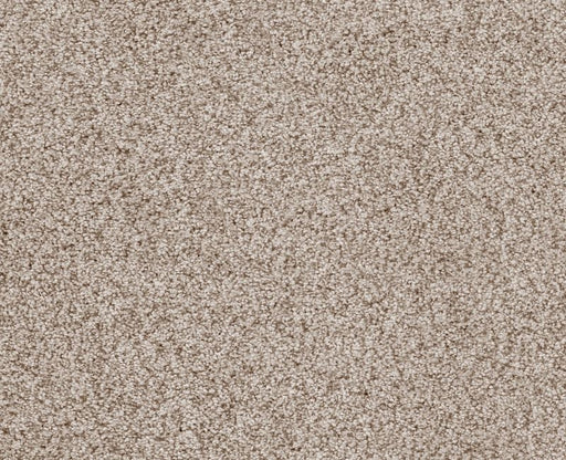 Sumptuous I Cliff Nylon Carpet - Textured