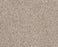 Sumptuous I Cliff Nylon Carpet - Textured