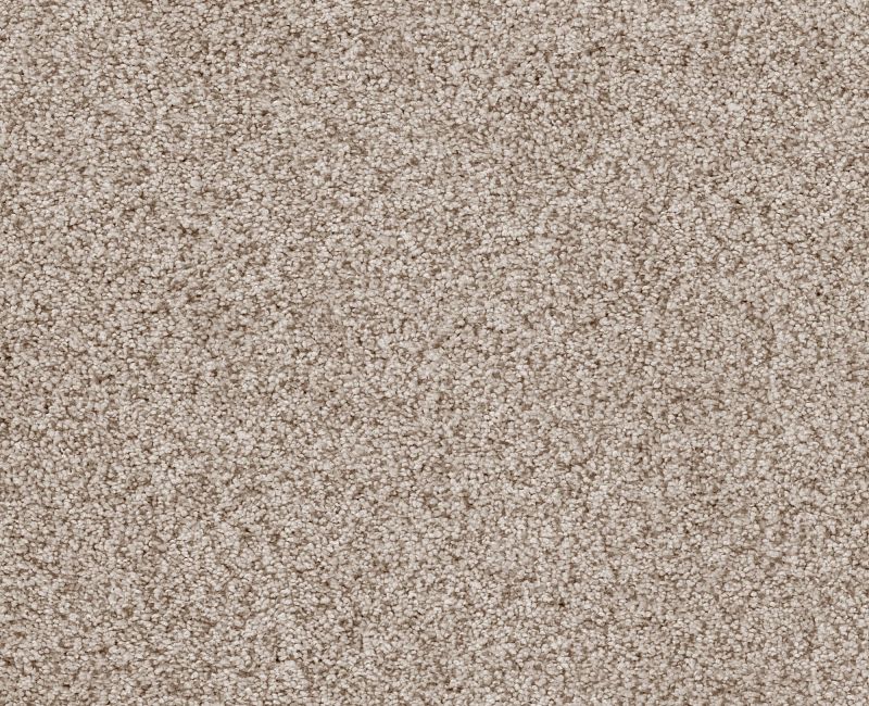 Sumptuous I Cliff Nylon Carpet - Textured