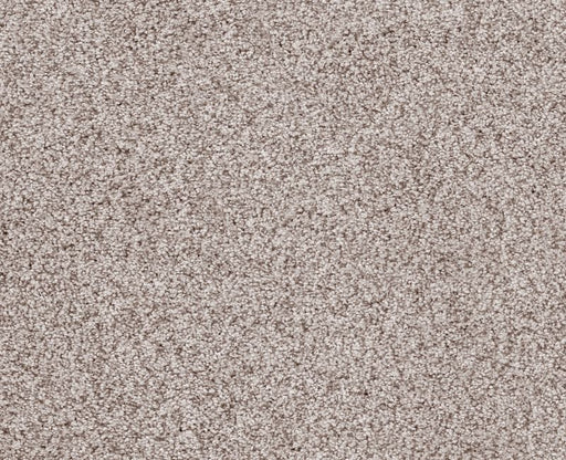 Sumptuous I First Star Nylon Carpet - Textured
