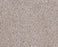Sumptuous I First Star Nylon Carpet - Textured