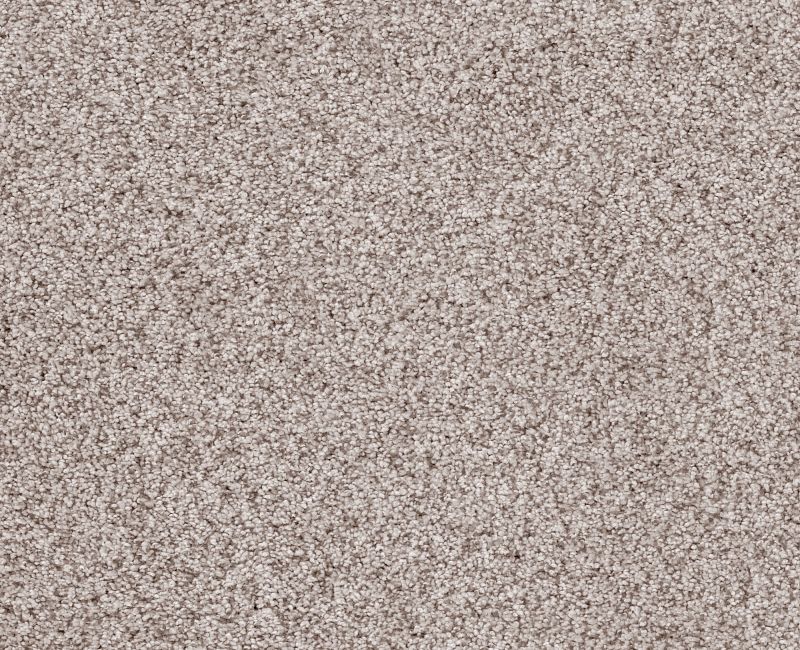 Sumptuous I First Star Nylon Carpet - Textured