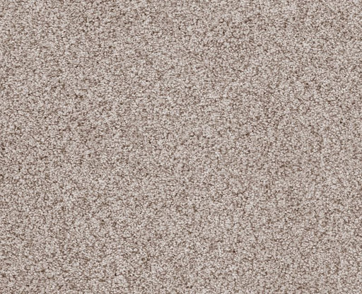 Sumptuous I Granite Dust Nylon Carpet - Textured