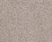Sumptuous I Granite Dust Nylon Carpet - Textured