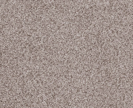 Sumptuous I Patio Stone Nylon Carpet - Textured