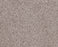 Sumptuous I Patio Stone Nylon Carpet - Textured