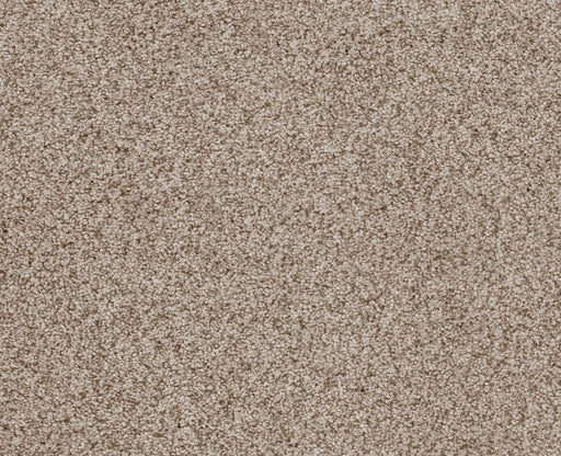 Sumptuous I Cream Tea Nylon Carpet - Textured