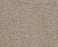 Sumptuous I Cream Tea Nylon Carpet - Textured