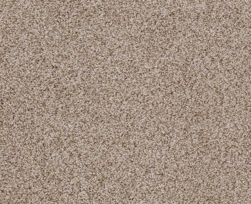 Sumptuous I Cream Tea Nylon Carpet - Textured