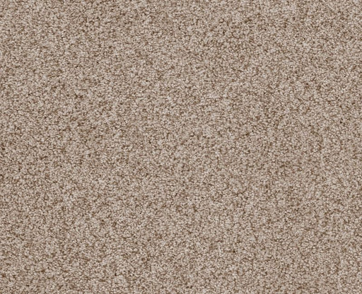 Sumptuous I Toasted Grain Nylon Carpet - Textured