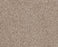 Sumptuous I Toasted Grain Nylon Carpet - Textured
