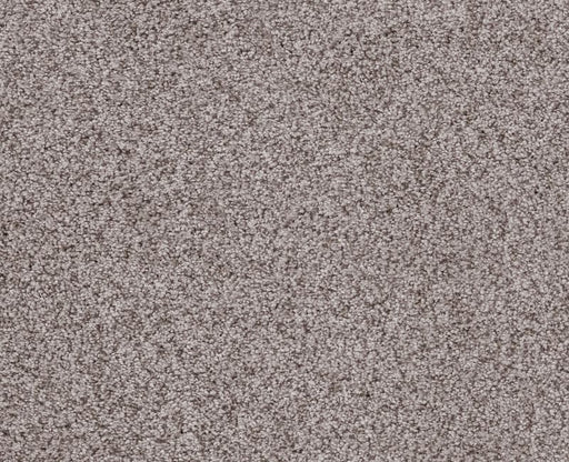 Sumptuous I Rustic Gray Nylon Carpet - Textured