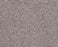 Sumptuous I Rustic Gray Nylon Carpet - Textured