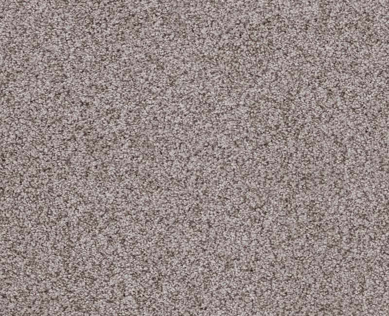 Sumptuous I Rustic Gray Nylon Carpet - Textured