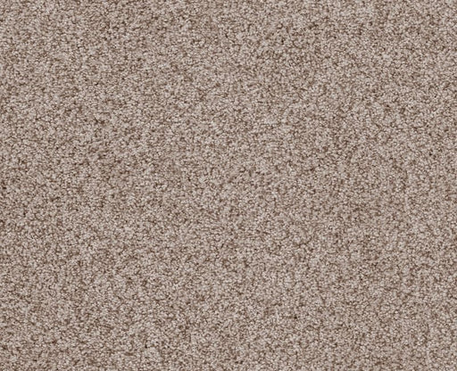 Sumptuous I Earthen Nylon Carpet - Textured