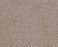 Sumptuous I Earthen Nylon Carpet - Textured