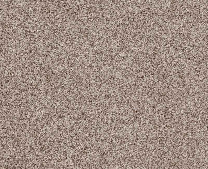 Sumptuous I Earthen Nylon Carpet - Textured