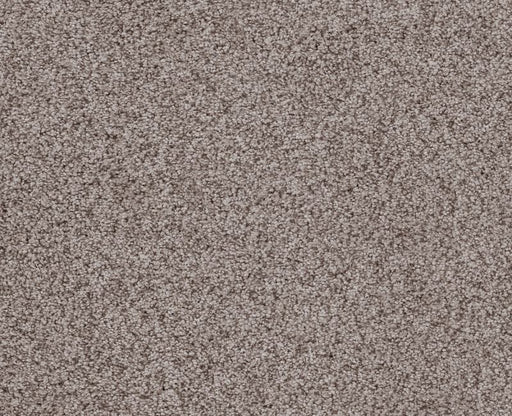 Sumptuous I Heritage Taupe Nylon Carpet - Textured