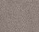Sumptuous I Heritage Taupe Nylon Carpet - Textured
