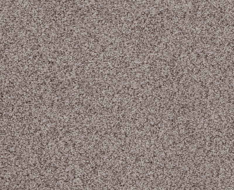 Sumptuous I Heritage Taupe Nylon Carpet - Textured