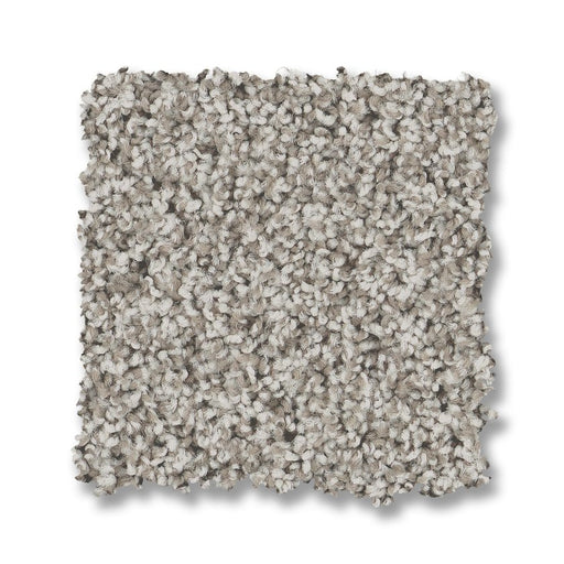 Mira Nova Platinum Nylon Carpet - Textured