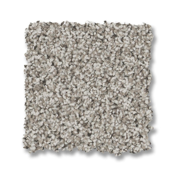 Mira Nova Platinum Nylon Carpet - Textured