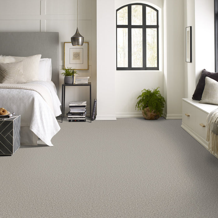 Mira Nova Platinum Nylon Carpet - Textured