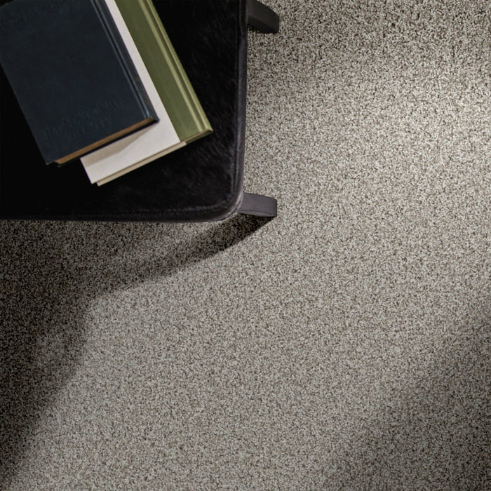 Mira Nova Platinum Nylon Carpet - Textured