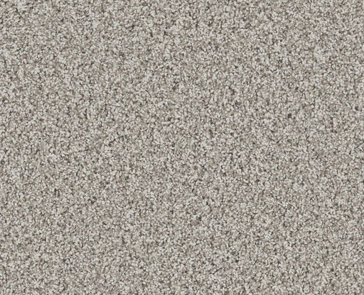 Mira Nova Nylon Platinum 00552 Carpet ZZ379 Textured 1