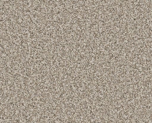 Mira Nova Cabana Nylon Carpet - Textured