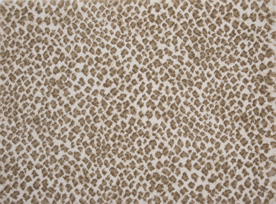 Zaza Polypropylene & Polysilk Wheat 26383 Carpet Textured 1